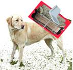 dog-caneFurniture.bmp