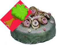cake-gatobu-tree ie Vietcay