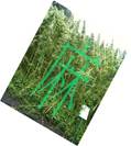 ma2hemp2