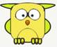 owl222