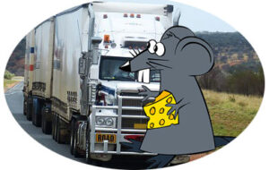 mouse and truck
